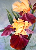 Huile de fleurs d'iris(taille 25F)