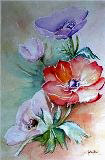 Fleurs d'anémones à l'aquarelle (50x70cm)